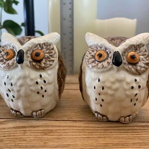Set of 2 Vintage Ceramic Owl Salt and Pepper Shakers - Cream and Brown